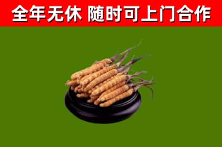 荷泽烟酒回收冬虫夏草.jpg